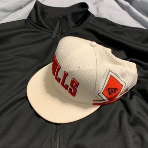 Chicago bulls snap back